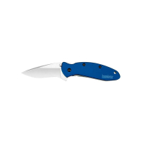 Нож полуавтоматический складной KERSHAW Scallion (1620NB) Нож полуавтоматический складной KERSHAW Scallion (1620NB)